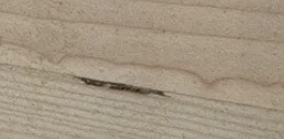Low laminations and pencil wane are repaired