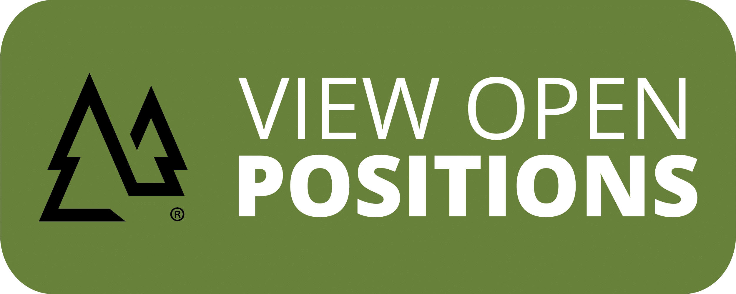 View Open Positions